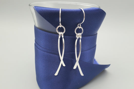 Two Feather Earrings