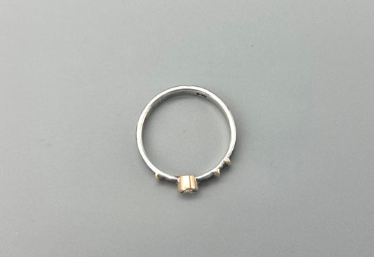 Mixed Metal Oxidized Spinel Ring